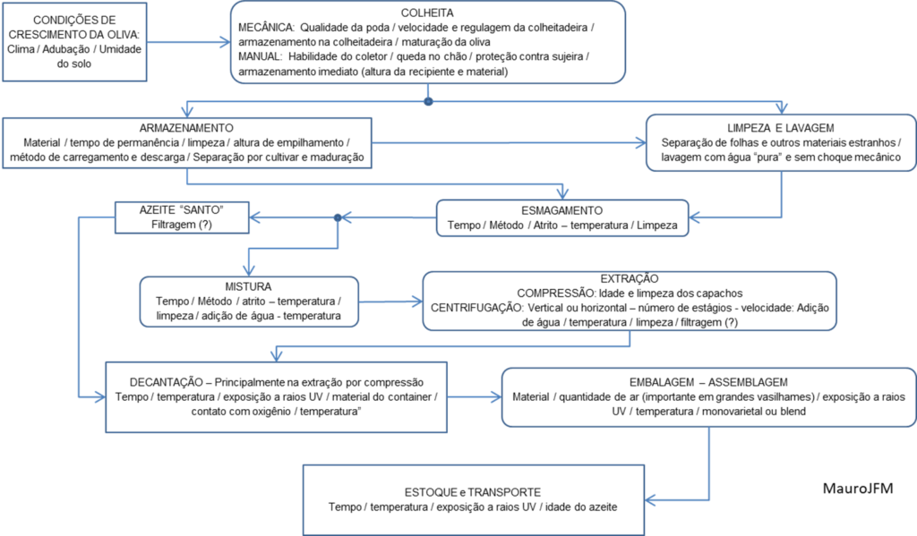 Pontos importantes na produção do azeite