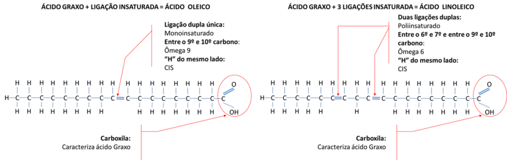 Comparação oleico e linoleico