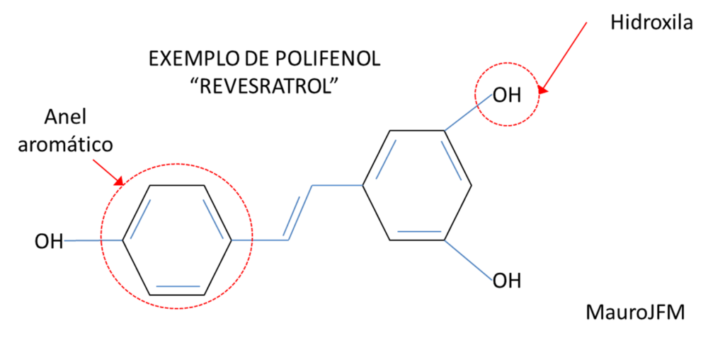 Polifenol