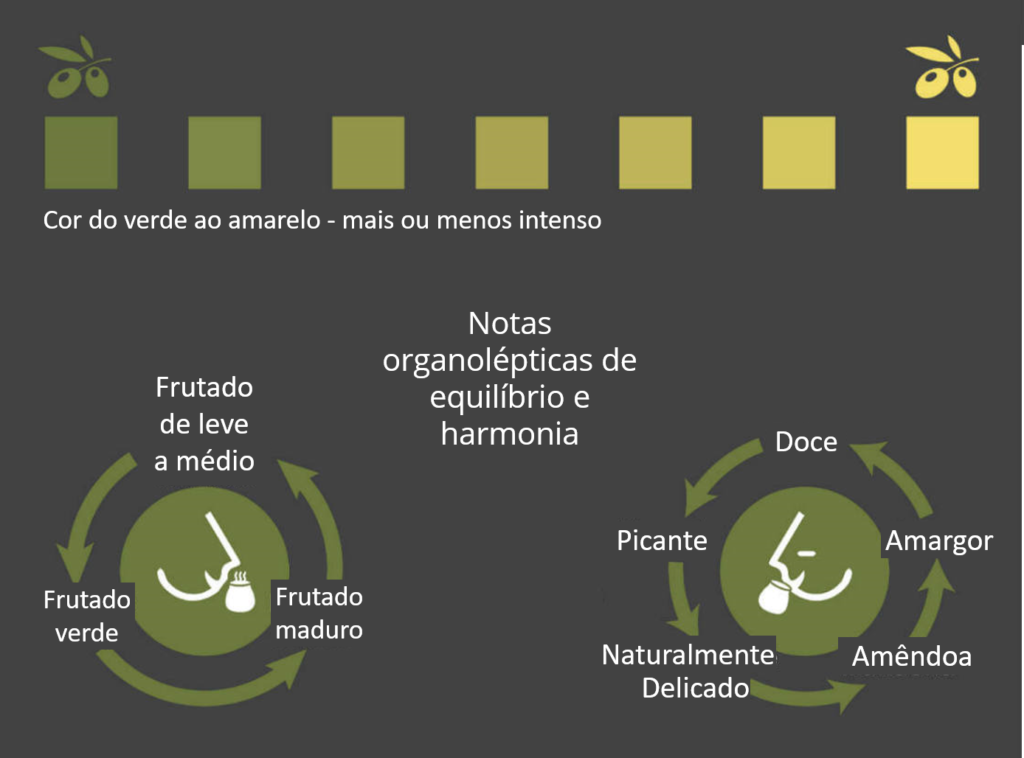 Cor do azeite versus aroma e paladar