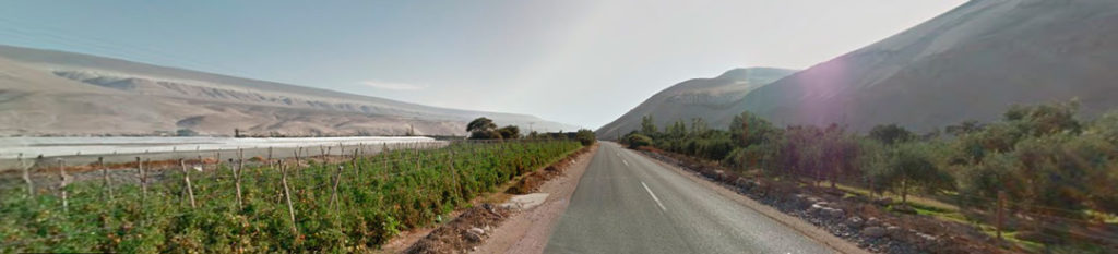 Vale de Azapa