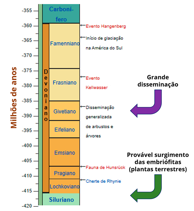 Escala de tempo com demonstrando o desenvolvimento de plantas terrestres