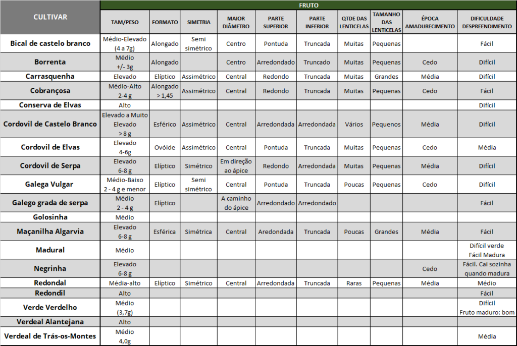 Caracter&iacute;stica das principais azeitonas de Portugal