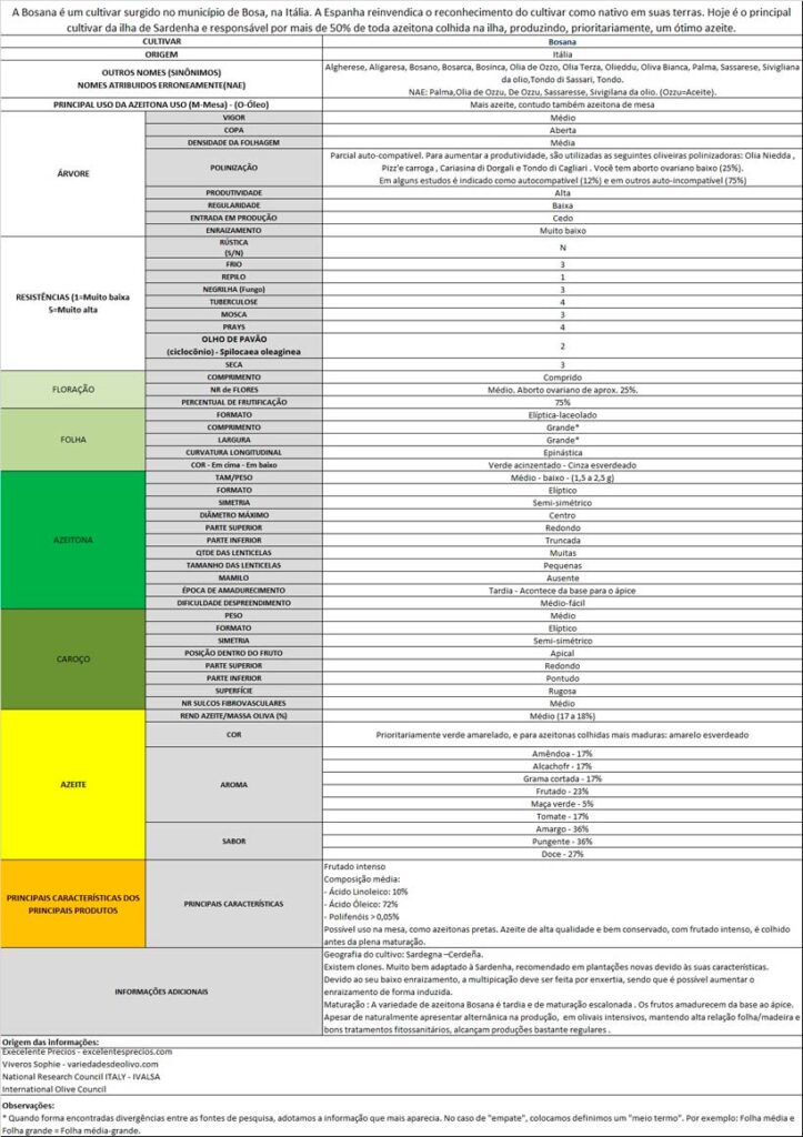 Bosana morphology and agronomic characteristics