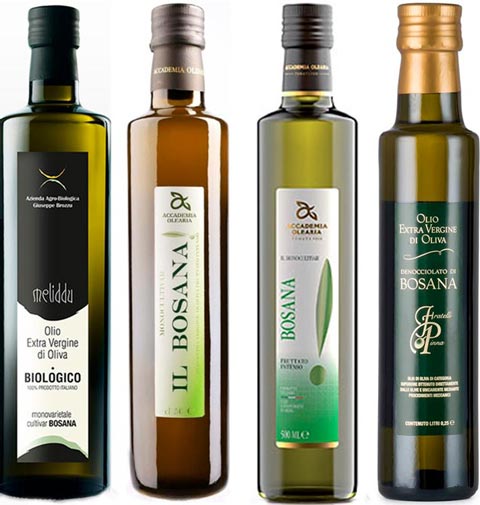 Olive oils from the Bosana cultivar