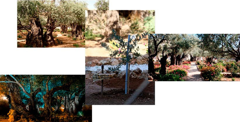 gethsemane garden