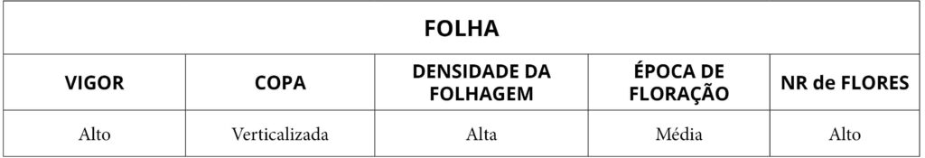 Tbl Morfologia folha