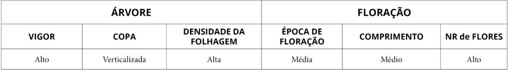 Tbl morfologia arv e folha