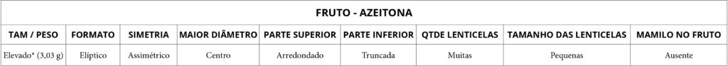 Morfologia azeitona