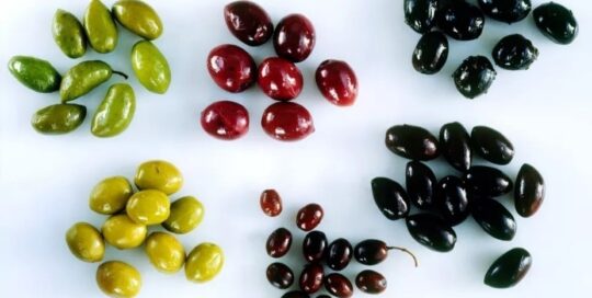 Greek olives