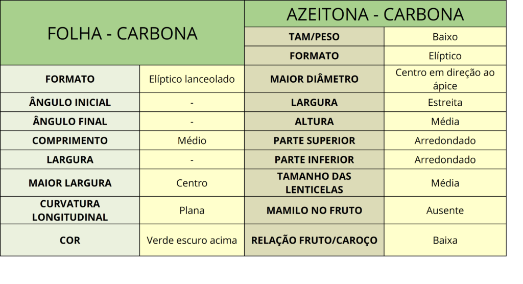 Leaf and olive Carbona