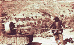 Extracción de petróleo en Palestina - siglo XX