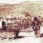 Extracción de petróleo en Palestina - siglo XX