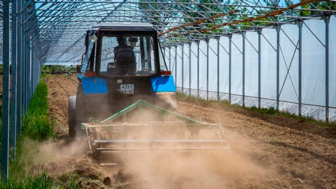 Olive greenhouse-in-Crimea -© KFU im INSIDE-E.-