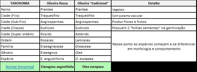 Comparison of Russian Olive Tree vs. Traditional