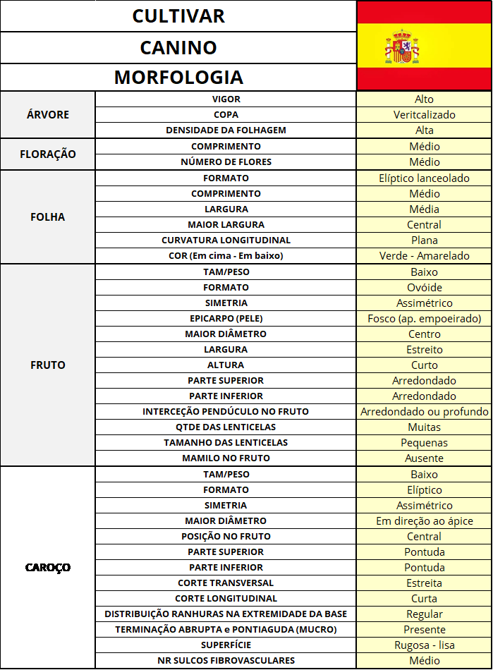 Canine cultivar morphology