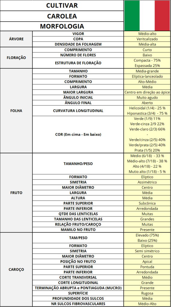 Morphology of the cultivar Carolea