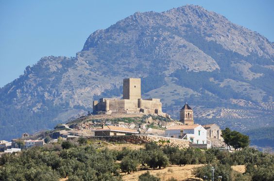Castle in Alcaudete with olive grove