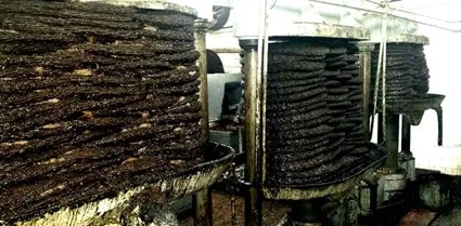 Doormats in hydraulic presses - Hydraulic presses in a traditional Tunisian mill - Image: Oliveoiltime.com