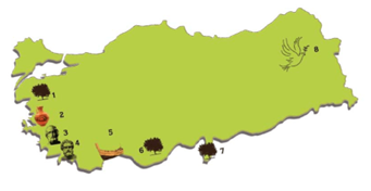 Olivais historical map - Turkey