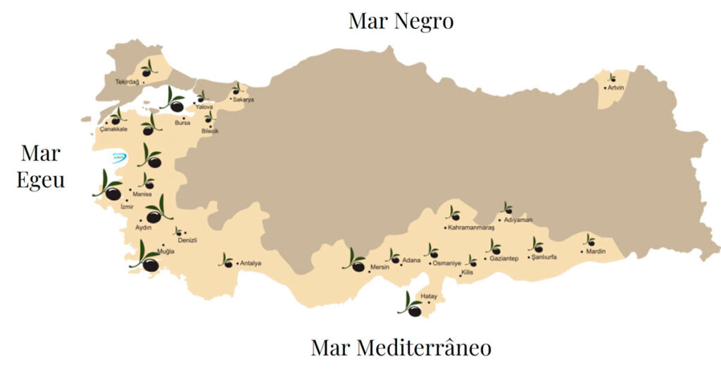 Locais dos Olivais-Image based on the site Artemoliva