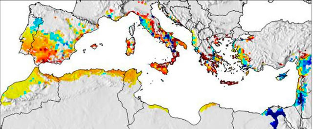 Map with forecast increase and decrease in olive harvests.