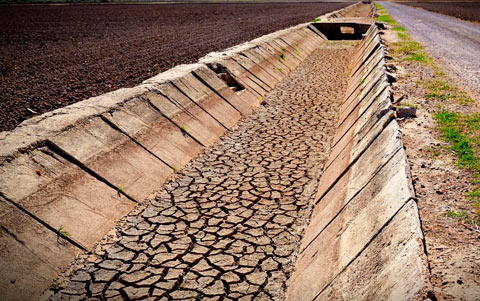 Dry irrigation ditch in Albufera rice fields of Valencia