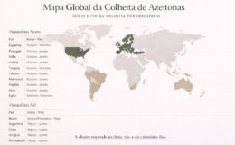 Calendário geral de colheita da azeitona
