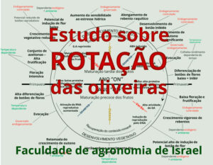 Olive tree rotation map