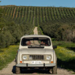 Fazienda Agricola Xiggiari